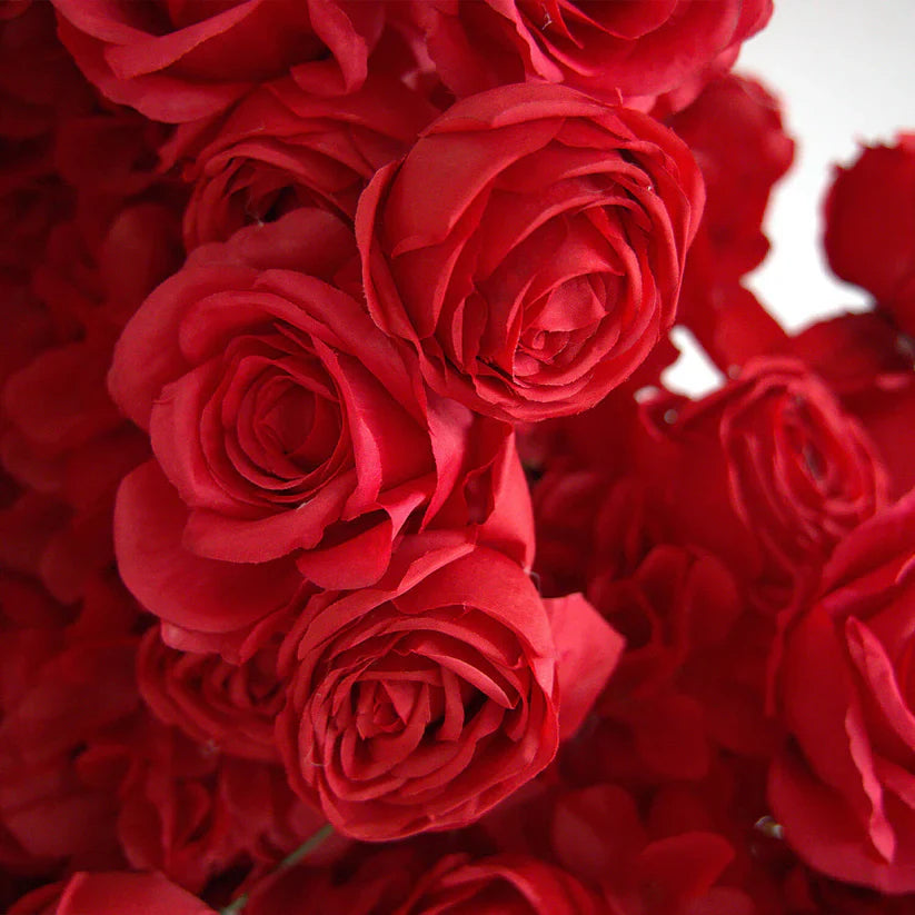 8ft Heart Shaped Red Rose Arch Flower Wall Wedding Decoration Indoor